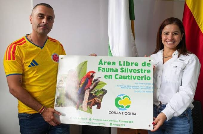 Categoria